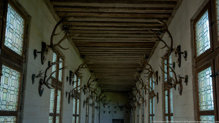 Long timber-ceilinged gallery at Château de Chambord lined with mounted antlers beside leaded windows.