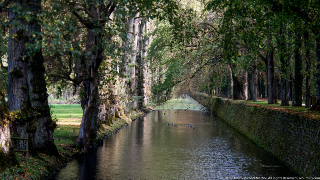 Tree-lined canal with stone-edged banks extending through the wooded grounds at Château de Chenonceau.