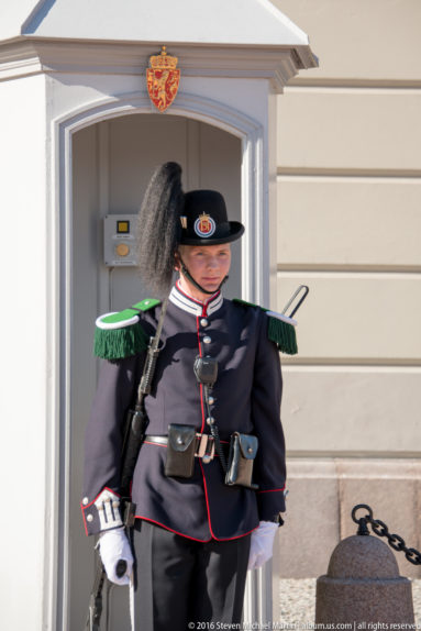 Guard at Det Kongelige Slott (The Royal Palace) by Steven Michael Martin