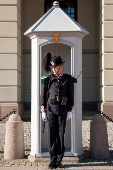 Guard at Det Kongelige Slott (The Royal Palace) by Steven Michael Martin