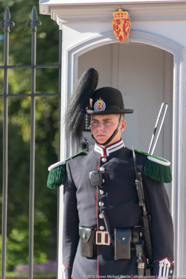 Det Kongelige Slott (The Royal Palace) by Steven Michael Martin