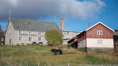 Farm in Roros by Steven Michael Martin