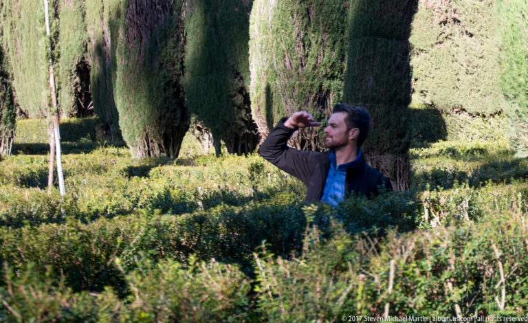 Man standing among clipped hedges and tall cypress trees in the Alcázar gardens, with one hand raised near his face.
