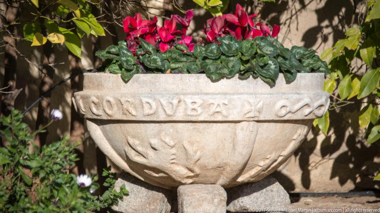 Carved pedestal basin with an inscription around its rim, filled with red cyclamen in an Alcázar garden bed.
