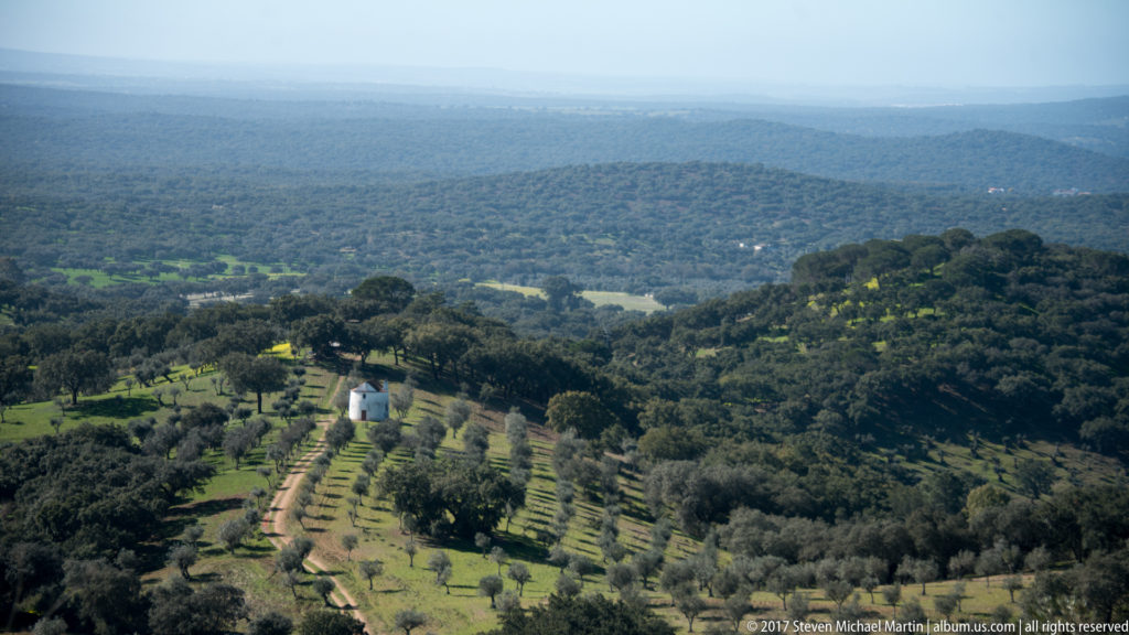 Elevated view over cork-oak woodland, cultivated tree rows, fields, and a small white rural building in the Alentejo.