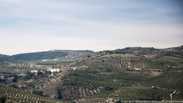 Rolling Andalusian hills covered in orderly olive groves with scattered roads and buildings near Granada.
