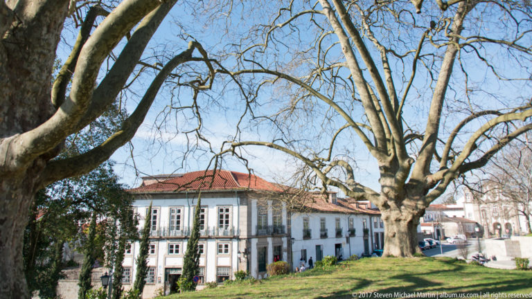 Large leafless plane tree spreading across the foreground of a white historic building with granite-trimmed windows and red tiled roof.