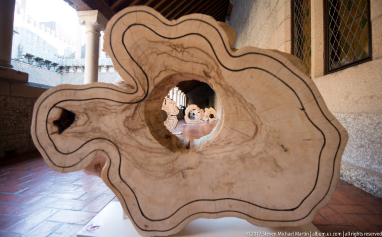 Large polished natural-edge wood slab standing upright, with concentric grain, irregular contours, knots, and several hollow openings.