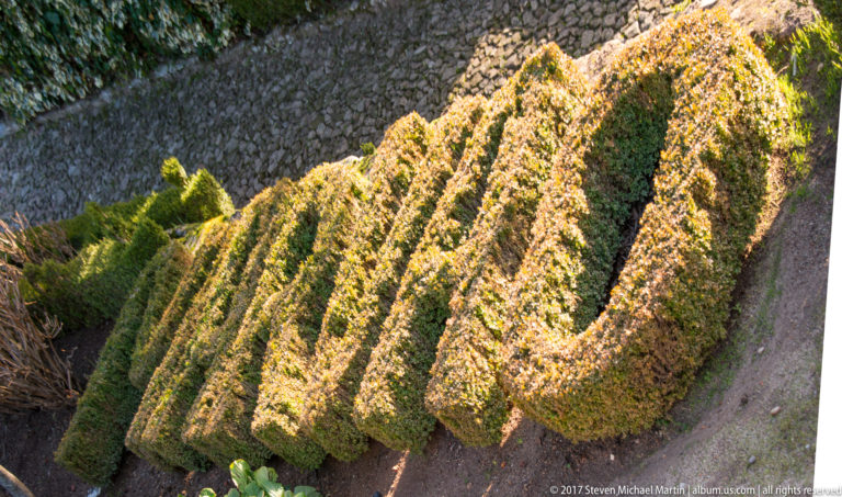 Overhead detail of clipped hedges forming nested loops and parallel curves beside a rough stone wall.