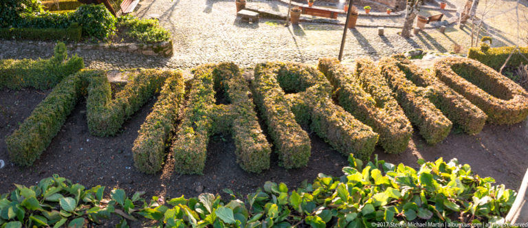 Elevated view of long serpentine clipped hedges arranged in parallel beds with paths between them.