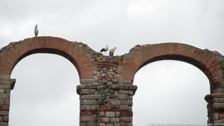 Two large brick-lined Roman aqueduct arches with white storks perched along the broken masonry crest.