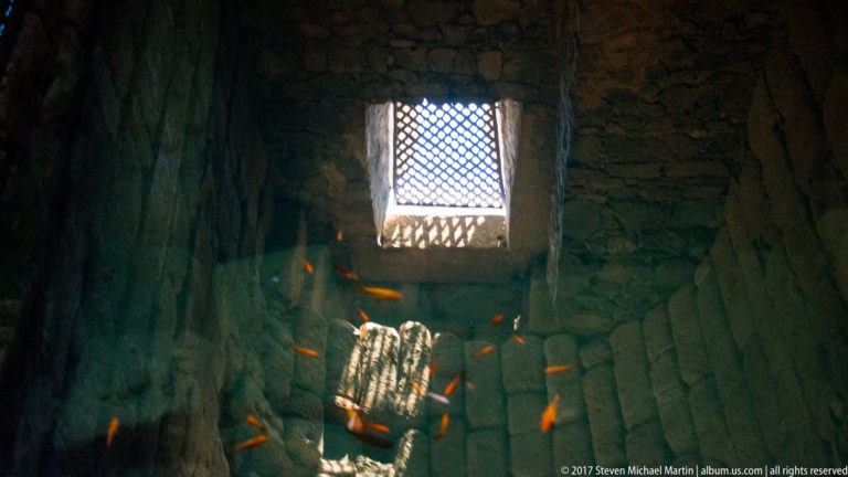 Dark stone chamber containing water and orange fish beneath a small lattice-covered window.