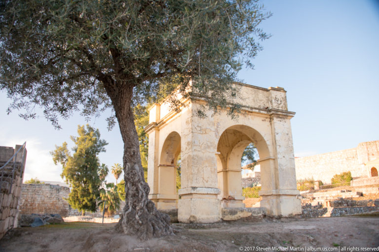 Pale two-arched pavilion beside a large olive tree, with ruins and fortification walls behind.