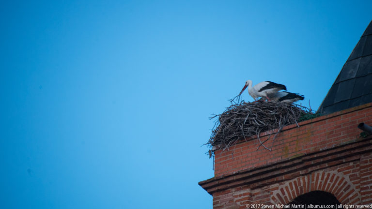White stork standing on a large stick nest atop the corner of a red-brick roof against blue sky.