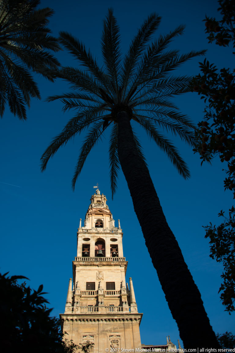 Mezquita bell tower rising behind the dark silhouette of a large palm tree against a deep blue sky.