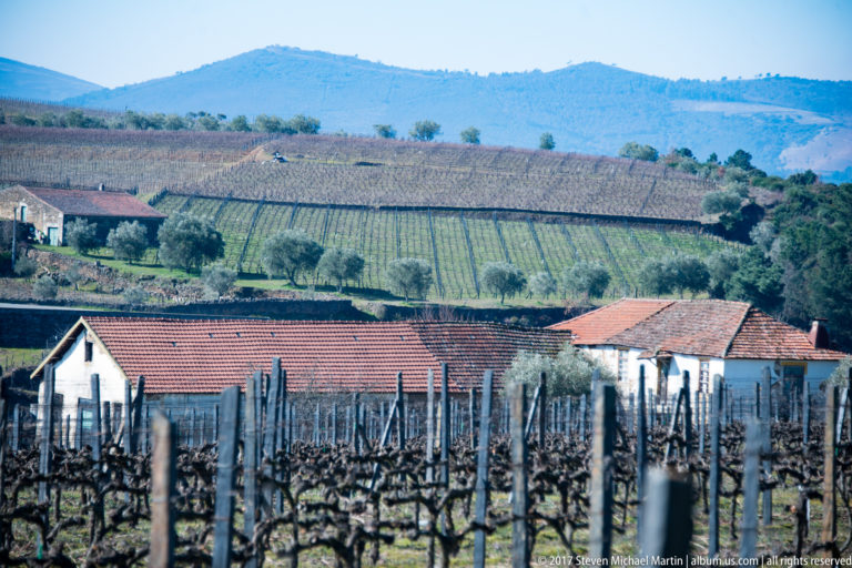 Dormant vineyard and red-roofed farm buildings below patterned cultivated hills.