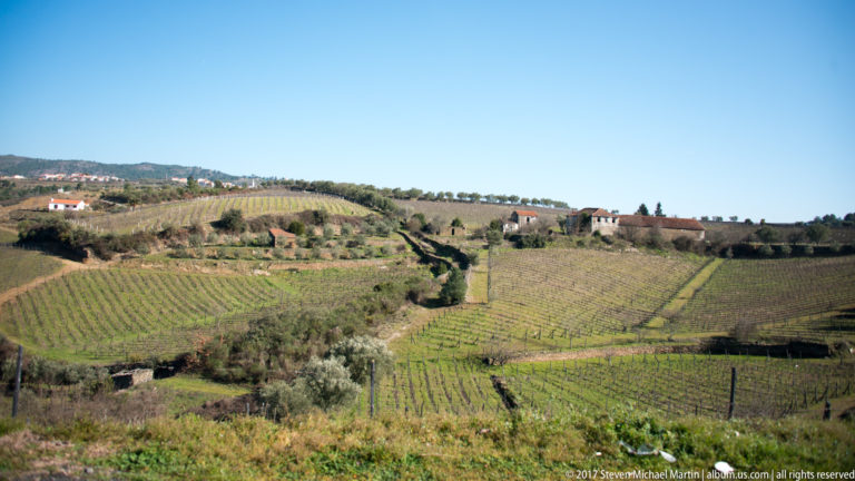 Patchwork vineyard parcels across rolling hills with scattered houses and olive trees.