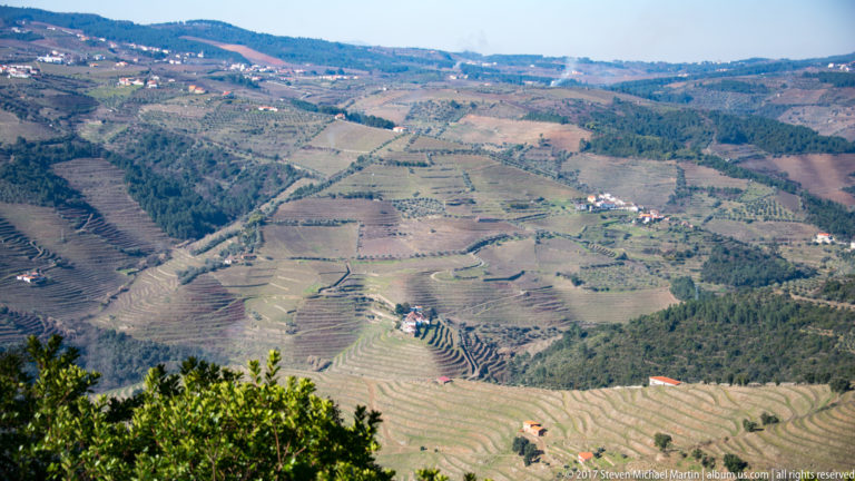Wide view of terraced vineyard hills, roads, scattered buildings, and wooded ravines.