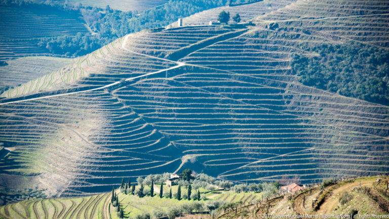 Steep hillside covered in dense horizontal vineyard terraces with a winding track.