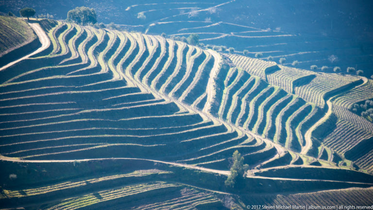 Sunlit curved vineyard terraces forming bright and dark bands across a steep hillside.