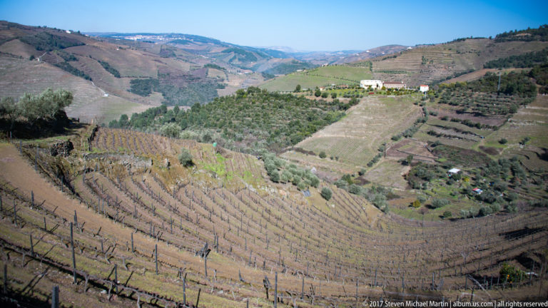Curving vineyard rows around olive groves and small farm buildings in a mountain basin.