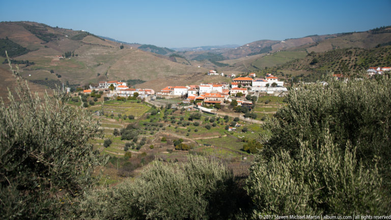 White and red-roofed village among olive groves and cultivated hills, framed by olive branches.