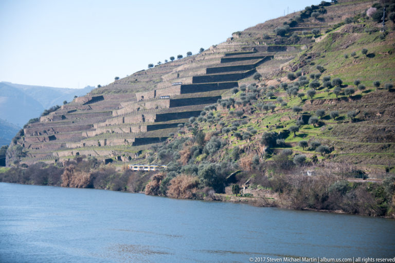 Broad stone-banked vineyard terraces step down a steep hillside toward the blue Douro River.