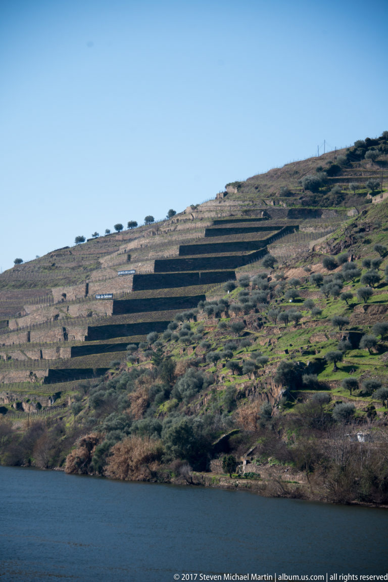 Geometric vineyard terraces cover a steep sunlit hillside above a narrow band of the Douro River.