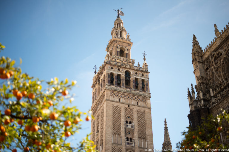 Giralda tower rising between orange branches and Gothic cathedral stonework under a bright blue sky.