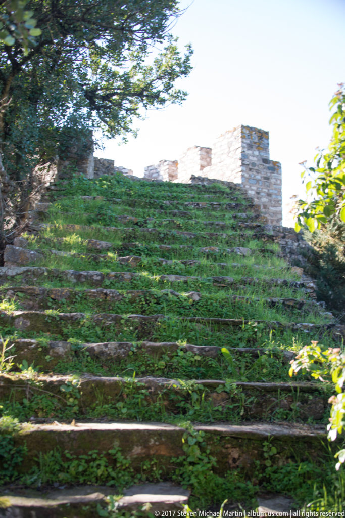Wide mossy stone steps climb toward crenellated castle masonry through dense green vegetation.