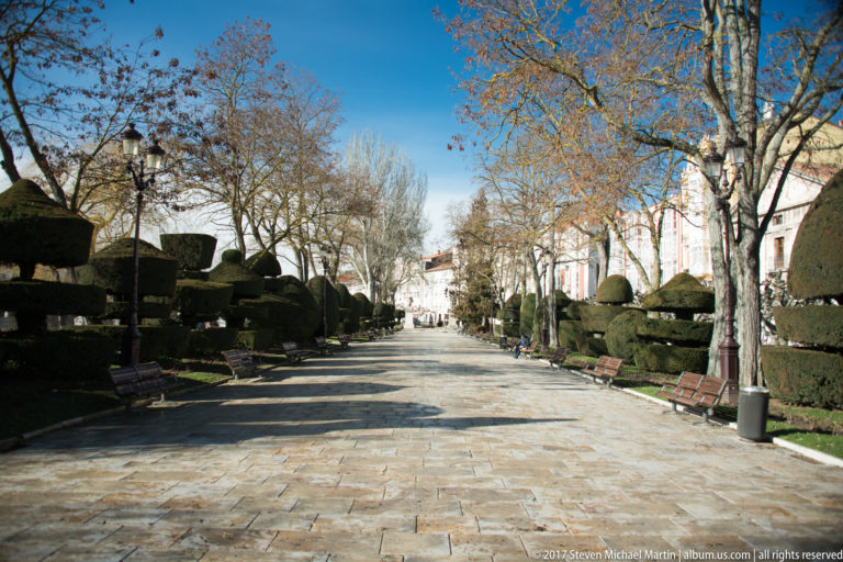 Broad paved promenade lined with trimmed hedges, topiary, benches, lampposts, and leafless plane trees.