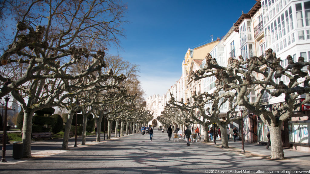 Pollarded plane trees line the Paseo del Espolón as pedestrians walk beside historic multistory façades.