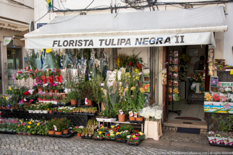 Colorful flowers and potted plants densely arranged outside the Florista Tulipa Negra II storefront.