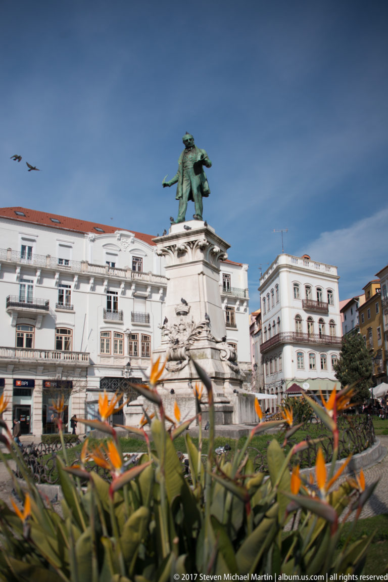 Bronze statue of Joaquim António de Aguiar on a high pedestal above orange bird-of-paradise flowers at Largo da Portagem.