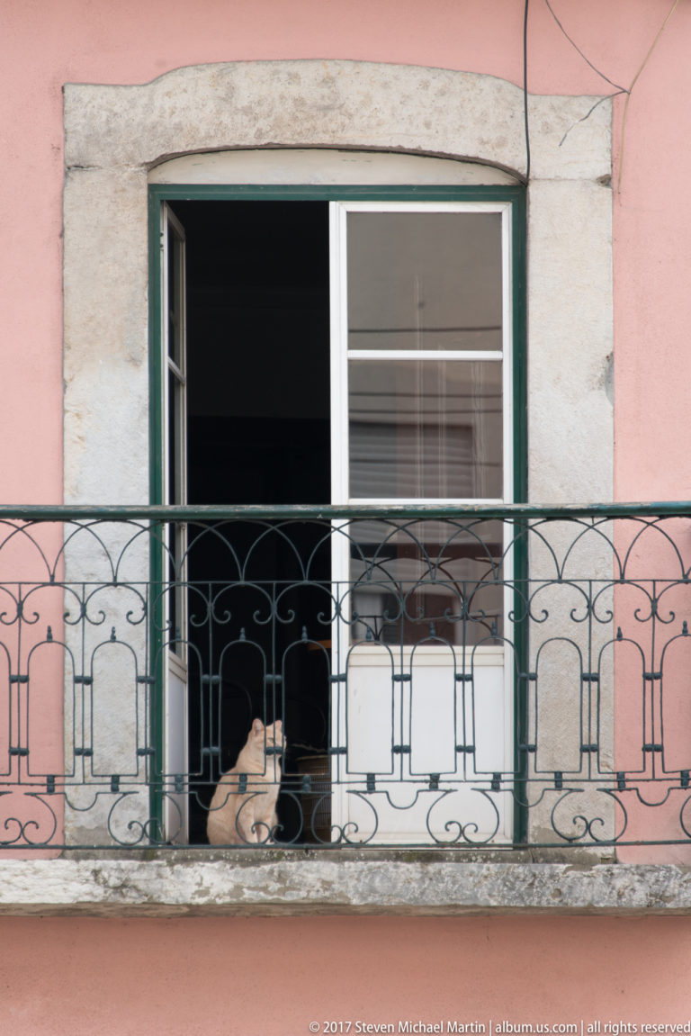 Cat sitting in an open window behind a decorative wrought-iron balcony on a pink Lisbon façade.