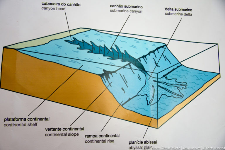 Color diagram labeling a submarine canyon, continental shelf, slope, delta, and abyssal plain.