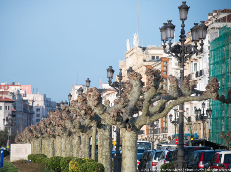 Pollarded plane trees and ornate black street lamps line a Santander boulevard beside apartment buildings and parked cars.