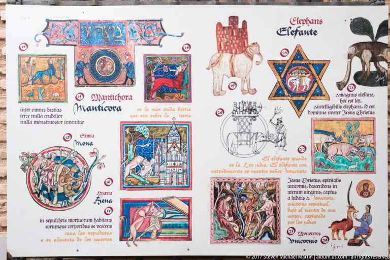 Colorful manuscript-style page with animal illustrations, diagrams, decorative initials, and labels including an elephant.