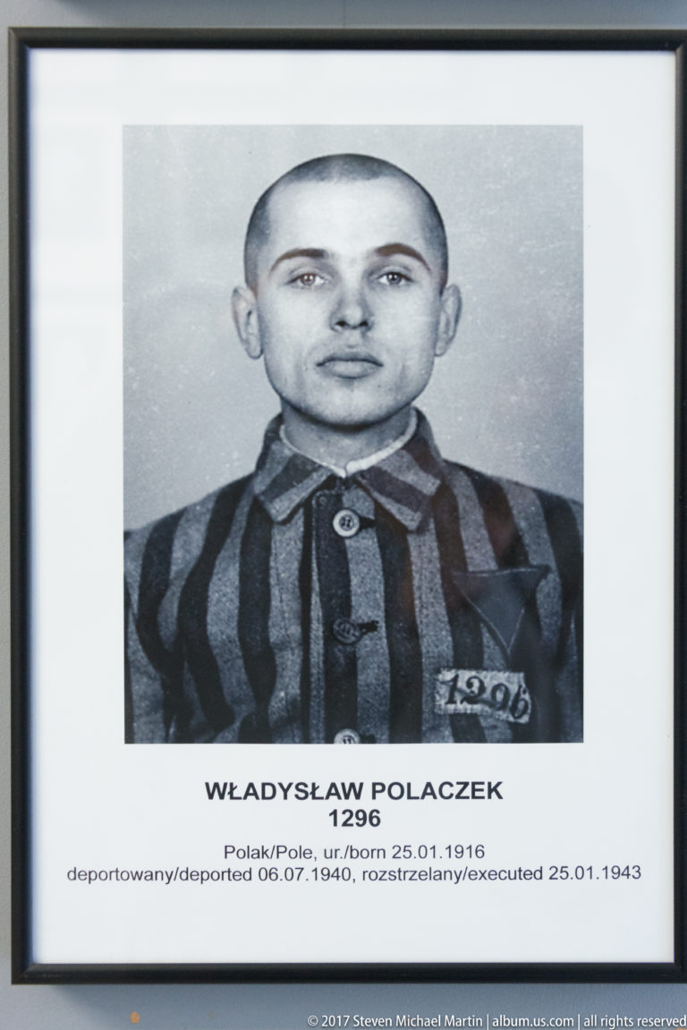 Framed portrait of Władysław Polaczek in striped prisoner uniform, identified as Auschwitz prisoner 1296.