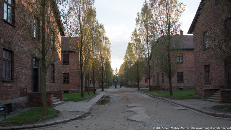 Long paved street between red-brick Auschwitz I blocks and rows of birch trees, with puddles in the roadway.