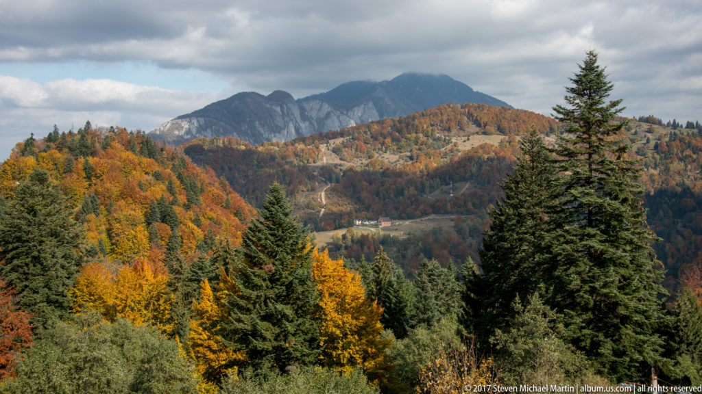 Autumn forest of yellow, orange, and evergreen trees beneath a rugged gray mountain ridge near Bran.