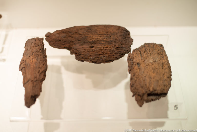 Three irregular brown fibrous fragments, likely preserved wood or bark, mounted separately in a white museum display case.