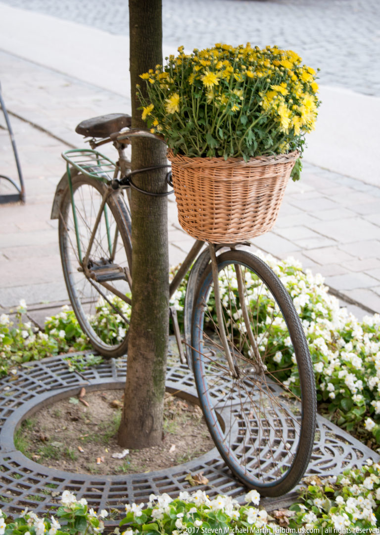 Vintage bicycle leaning by a street tree with a woven front basket filled with yellow flowers.