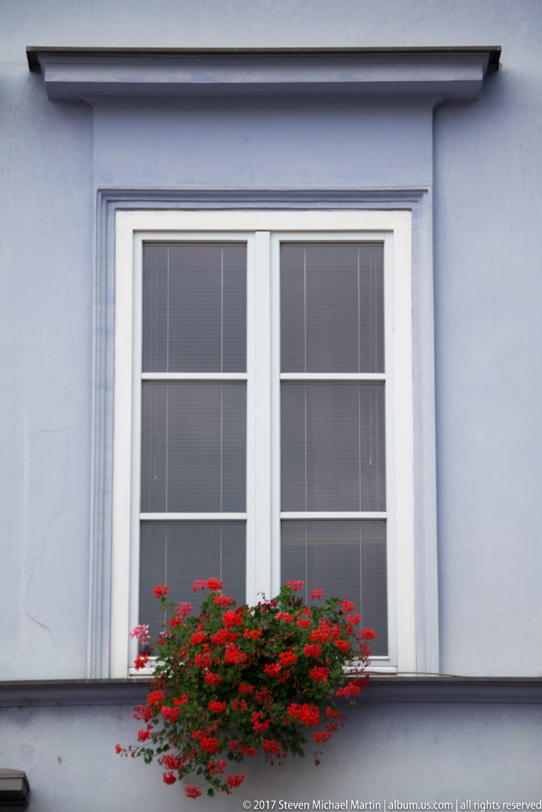 Red geraniums in a window box beneath a white double window on a pale blue wall.
