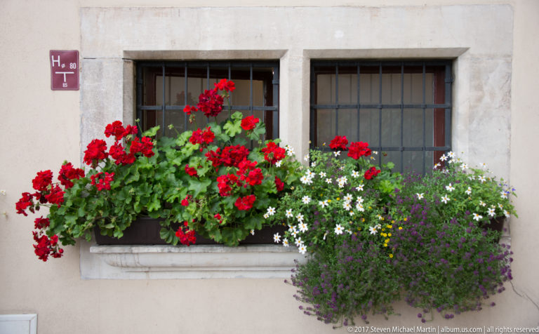 Red geraniums and mixed trailing flowers fill planters beneath two barred windows on a pale wall.