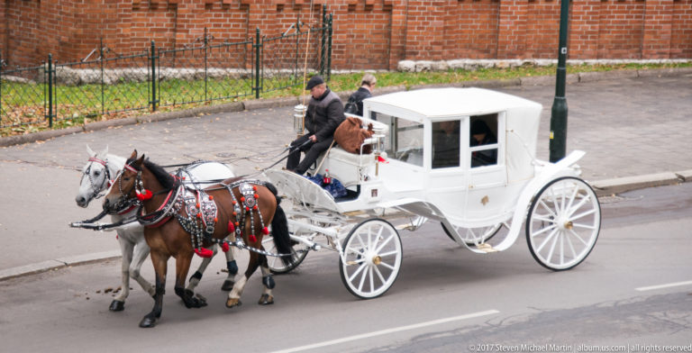 White horse-drawn carriage with two harnessed horses, driver, and passenger traveling beside Wawel's brick walls.
