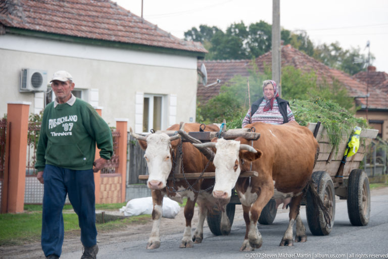 Two yoked cattle pulling a wooden cart along a village street, with a man walking beside them and a woman riding.