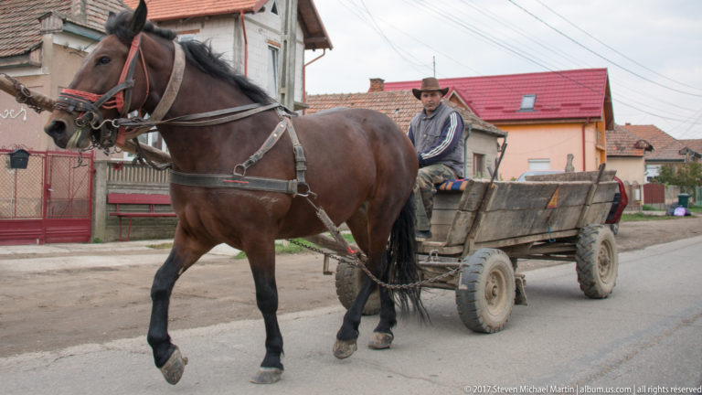 Brown horse harnessed to a wooden four-wheeled cart with a seated driver on a village street.