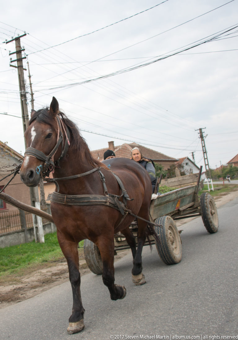 Brown harnessed horse walking along a village road while pulling a wooden cart past houses and utility lines.