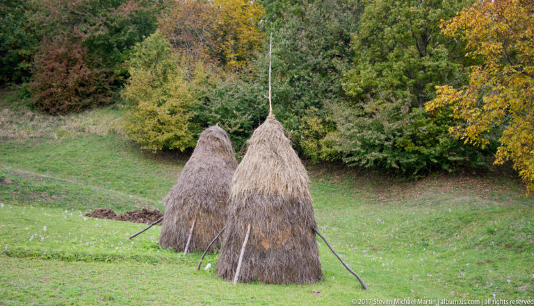 Two conical haystacks braced with poles in a sloping green meadow against autumn trees.